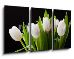 Obraz 3D tdln - 90 x 50 cm F_BS31897392 - Bouquet of white tulips on black background