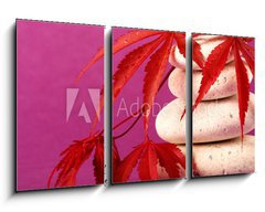 Obraz 3D tdln - 90 x 50 cm F_BS31913256 - Foglia di Acero su ghiaie