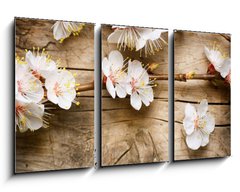 Obraz   Wood background with spring blossom, 90 x 50 cm