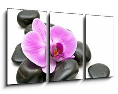 Obraz   Pink orchid and zen Stones on a white background, 90 x 50 cm
