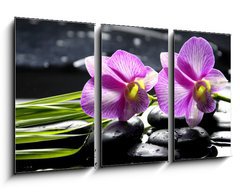 Obraz 3D tdln - 90 x 50 cm F_BS32225654 - Oriental spa with orchid with and green plant on zen stones