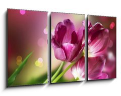 Obraz 3D tdln - 90 x 50 cm F_BS32246148 - Flowers. Anniversary Card Design