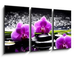 Obraz 3D tdln - 90 x 50 cm F_BS32250117 - Spa still life with set of pink orchid and stones reflection