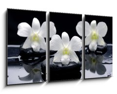 Obraz 3D tdln - 90 x 50 cm F_BS32251402 - Spa Still life with beautiful white orchid on therapy stones