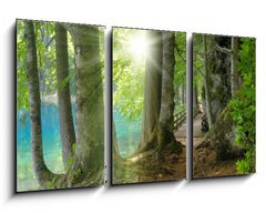 Obraz 3D tdln - 90 x 50 cm F_BS32267229 - Sonnenschein im Wald neben klarem See