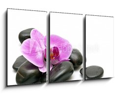 Obraz   Pink orchid and zen Stones on a white background, 90 x 50 cm