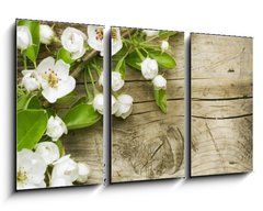 Obraz 3D tdln - 90 x 50 cm F_BS32351313 - Spring Blossom over wooden background - Jarn kvt na devnm pozad