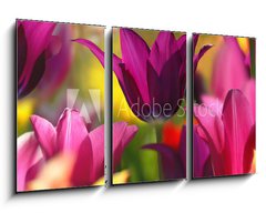 Obraz 3D tdln - 90 x 50 cm F_BS32429216 - Spring beauty