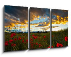 Obraz 3D tdln - 90 x 50 cm F_BS32699667 - Poppy Field