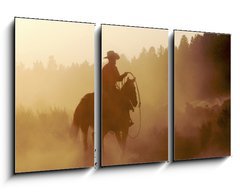 Obraz 3D tdln - 90 x 50 cm F_BS3270800 - cowboy in the desert