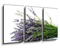 Obraz 3D tdln - 90 x 50 cm F_BS32774353 - Lavender