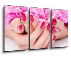 Obraz   Woman cupped hands with manicure holding a pink flower, 90 x 50 cm