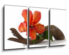 Obraz 3D tdln - 90 x 50 cm F_BS33085231 - Red hibiscus on a wooden hand statuette