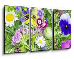 Obraz   Abstract June plants and flowers background, 90 x 50 cm