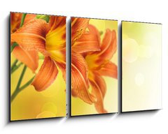 Obraz   Yellow Lily Flower border design, 90 x 50 cm