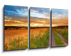 Obraz 3D tdln - 90 x 50 cm F_BS33827076 - A sunset photo of road and countryside