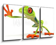 Obraz 3D tdln - 90 x 50 cm F_BS34469383 - Grenouille