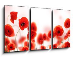 Obraz 3D tdln - 90 x 50 cm F_BS34583820 - Poppy field