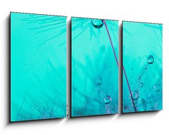 Obraz 3D tdln - 90 x 50 cm F_BS348565950 - Parachute seed from a dandelion on a blue background