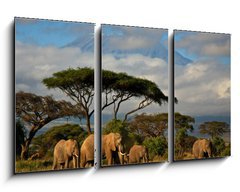 Obraz   Elephant family in front of Mt. Kilimanjaro, 90 x 50 cm