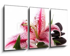 Obraz 3D tdln - 90 x 50 cm F_BS34989427 - Steine,Lilium