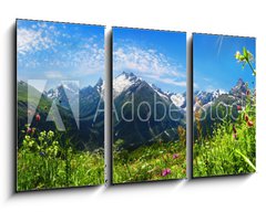 Obraz 3D tdln - 90 x 50 cm F_BS35029709 -               