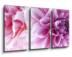 Obraz 3D tdln - 90 x 50 cm F_BS35120872 - Dahlia