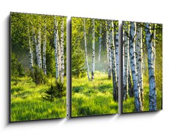 Obraz 3D tdln - 90 x 50 cm F_BS353870391 - Spring green foliage