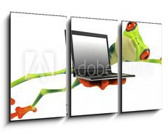 Obraz 3D tdln - 90 x 50 cm F_BS35627337 - Grenouille