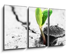 Obraz 3D tdln - 90 x 50 cm F_BS35776421 - new life - nov ivot