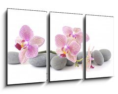 Obraz   Still life with pink orchid with gray stones, 90 x 50 cm