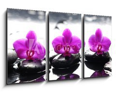 Obraz   Three zen stones and three orchids with reflection, 90 x 50 cm
