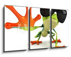 Obraz 3D tdln - 90 x 50 cm F_BS35896989 - Grenouille