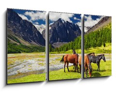 Obraz 3D tdln - 90 x 50 cm F_BS35990495 - Mountain landscape