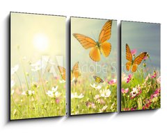 Obraz   summer flowers, 90 x 50 cm