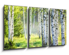 Obraz 3D tdln - 90 x 50 cm F_BS363600583 - Spring green foliage