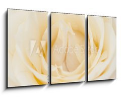 Obraz 3D tdln - 90 x 50 cm F_BS36659824 - Rosenbl te