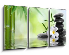 Obraz 3D tdln - 90 x 50 cm F_BS36696469 - spa stones with frangipani