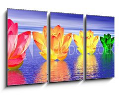 Obraz 3D tdln - 90 x 50 cm F_BS37014590 - Lily flowers chakras by night