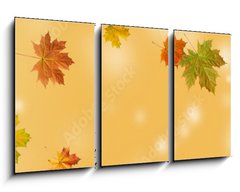 Obraz 3D tdln - 90 x 50 cm F_BS370583314 - autumn maple leaf