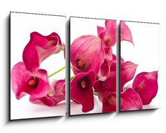 Obraz 3D tdln - 90 x 50 cm F_BS37226915 - Red Flower Calla