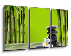 Obraz 3D tdln - 90 x 50 cm F_BS37470150 - Young, green bamboo in the background boke