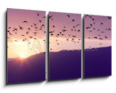 Obraz 3D tdln - 90 x 50 cm F_BS37700640 - Flock of Birds Flying at the Sunset above Mountian at the sunset