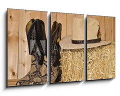 Obraz 3D tdln - 90 x 50 cm F_BS37950448 - Snakeskin cowboy boots