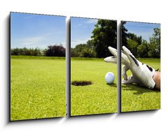 Obraz 3D tdln - 90 x 50 cm F_BS3805293 - Golf club