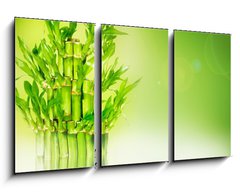 Obraz   Bambus, 90 x 50 cm