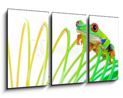 Obraz   Colorful Frog on a spring, coil toy, 90 x 50 cm