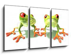 Obraz 3D tdln - 90 x 50 cm F_BS3874036 - Grenouilles
