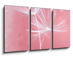Obraz 3D tdln - 90 x 50 cm F_BS399541072 - Dandelion parachutes macro shooting