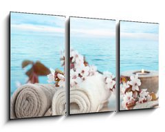 Obraz 3D tdln - 90 x 50 cm F_BS40232048 - Natural spa setting